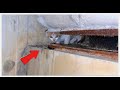 Rescue the flea-ridden kitten under the bridge! One-hour pest control battle 🐱💦#rescue #cat #animals