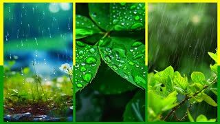 Rain ☔ Cute Images Outside @Nature Beautiful Wallpapers