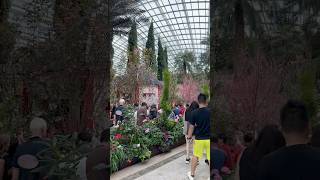 A Magical Sakura Experience at Gardens by the Bay – Flower Dome screenshot 2