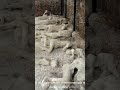 POMPEYA., LA CIUDAD CONGELADA EN EL TIEMPO 🏯🕰️💥 #pompeya #historia #curiosidadeshistoricas