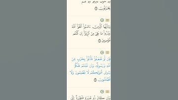 سورة البقرة 📖 تلاوة خاشعة للشيخ المعيقلي | آيات الربا