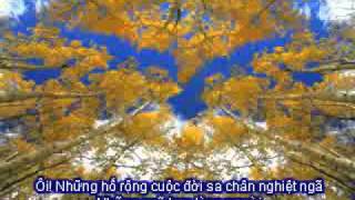 Video thumbnail of "Nhung Vet Chung (Cover)"