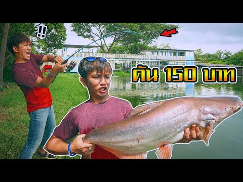 วีดีโอ: วิธีการตกปลาด้วยคันเบ็ดในปี 2560