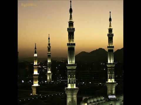 Tha God Fahim -Fishing Wire- (prod. by Al Divino)