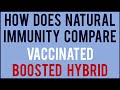 Odds of Reinfection and Severe COVID | Natural vs Vaccinated immunity vs Hybrid vs Boosters