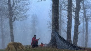 SOLO CAMPING in RAIN STORM [ Relaxing in the Tarp shelter, ASMR ]