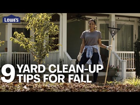 9 Easy Yard Clean-Up Tips for Fall