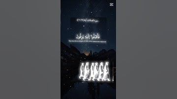 سورة الصافات ايه ( ٩١-١٠١ )