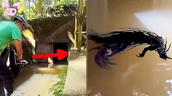 This Is The Bizarre Footage The Internet Is Debating Right Now