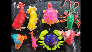 Binbotv tìm thấy các con vật nhiều màu sắc như khủng long, con bò,con cua, con rùa,.trên sân part 55