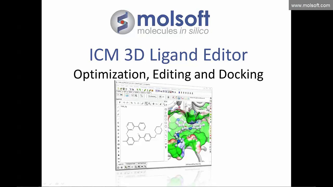 ICM 3D Ligand Editor - Ligand Optimization, Editing and Docking - YouTube
