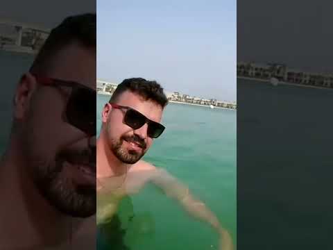 Vídeo novo no canal. Hotel atlantis the palm #atlantis  #dubai #viagem #trip #luademel #shorts