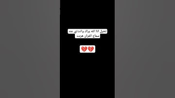قرءان كريم ـ سوره العنكبوت ـ  القارئ عبد الرحمن مسعد ـ اكتب/ي شيء تؤجر عليه 💔