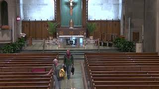 Saturday Evening Mass - July 11, 2026