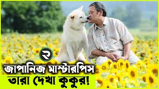 জাপানিজ মাস্টারপিস সিনেমা explanation In Bangla| Random Video Channel