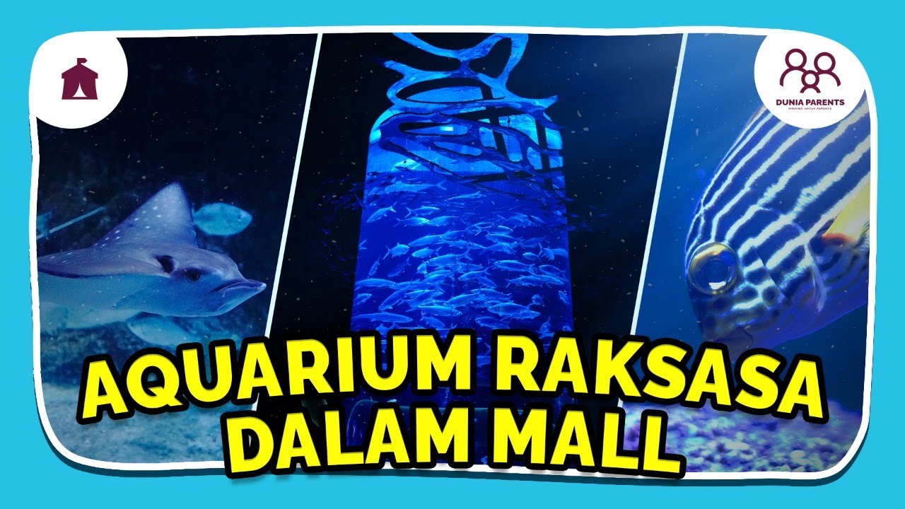Wisata Nyaman di JAKARTA AQUARIUM SAFARI - ada Aquarium Raksasa dan Kebon Binatang dalam Mall !