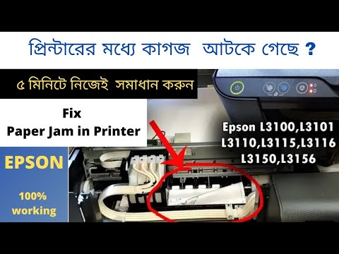 ভিডিও: প্রিন্টার ফাঁকা শিটগুলি কেন মুদ্রণ করে?