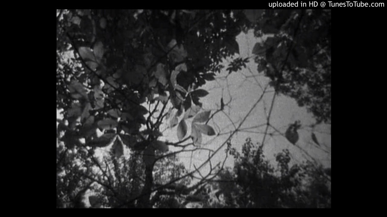 FREE PHARAOH WHITE PUNK LYRIC type beat 06.05.21 release prod by shooterslit