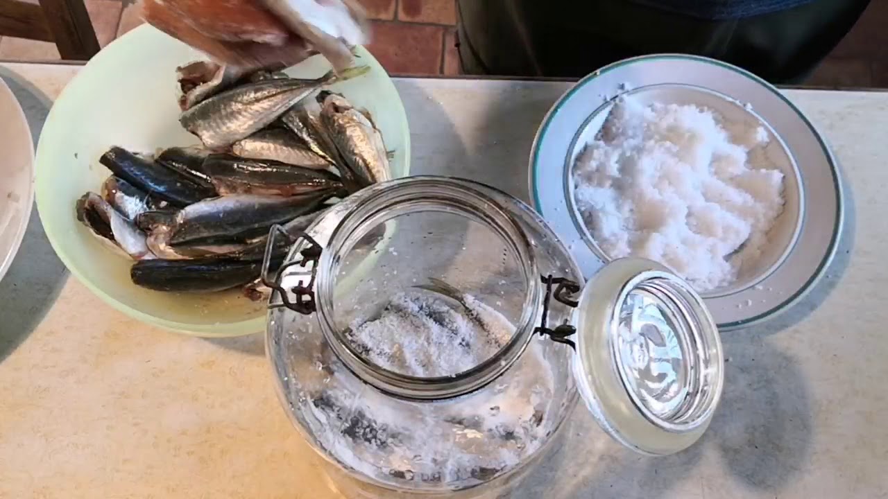 Salsa di pesce fermentata (no Garum)