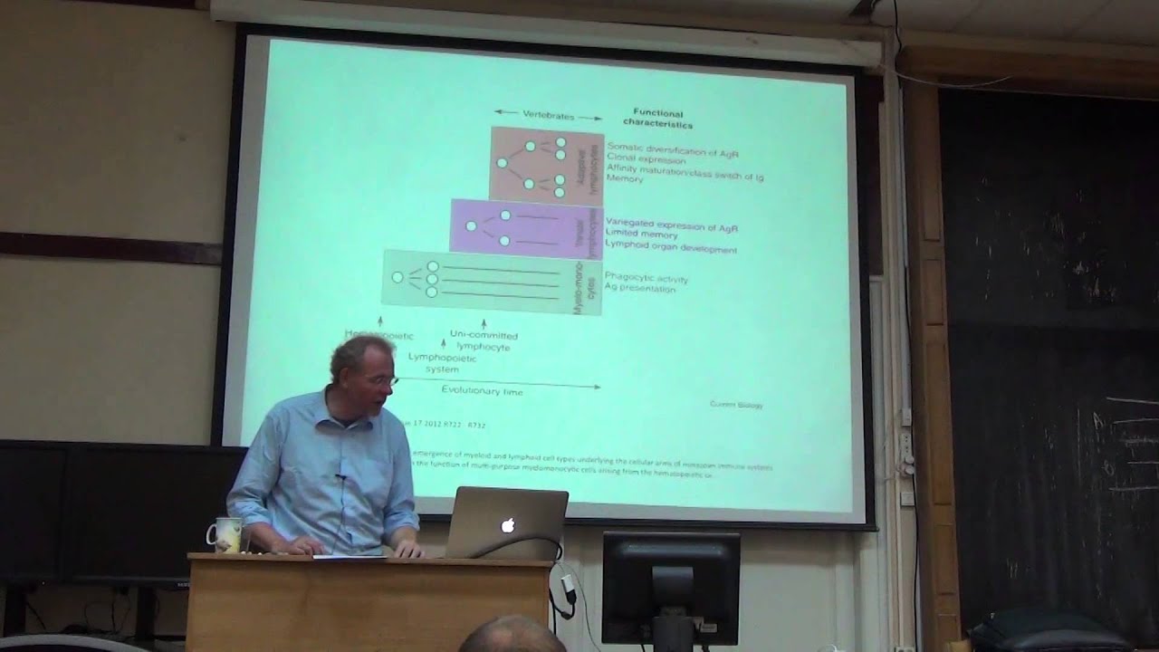 9. Design principles of vertebrate immune systems: ontogeny through the looking glass | Лекториум
