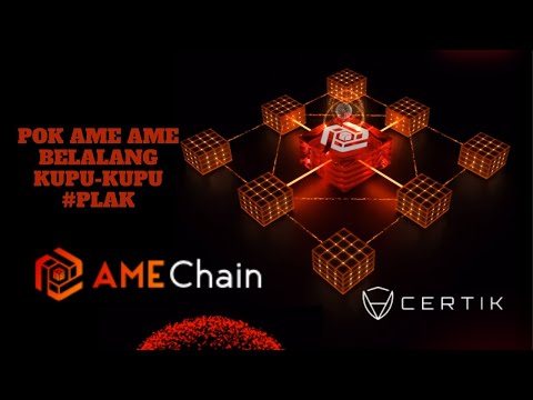 AMEChain Blockchain 800 TPS dengan teknologi Quantum Random Numbers