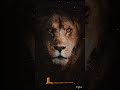 Lion King BGM #bgm #lion #lionking #lionking #lionattack #lion