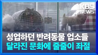 성업하던 반려동물 업소들…달라진 문화에 줄줄이 좌절 / KBS  2024.02.24.