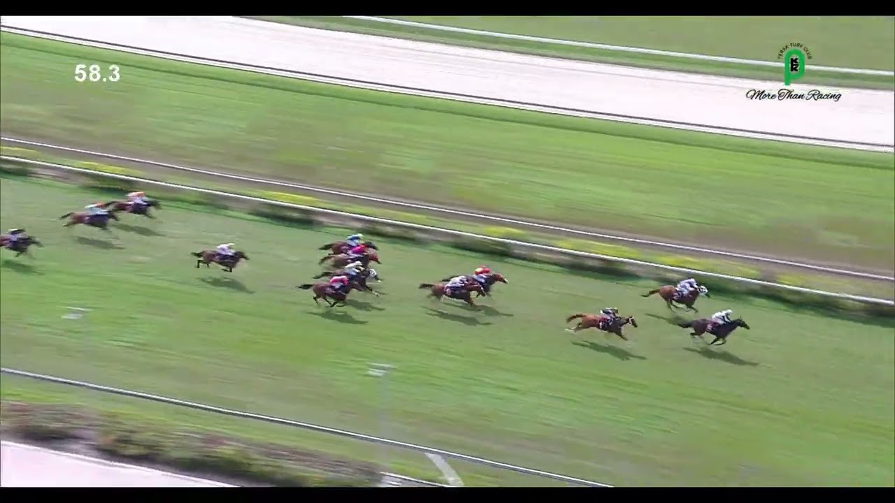 18TH JANUARY 2026 RACE 1