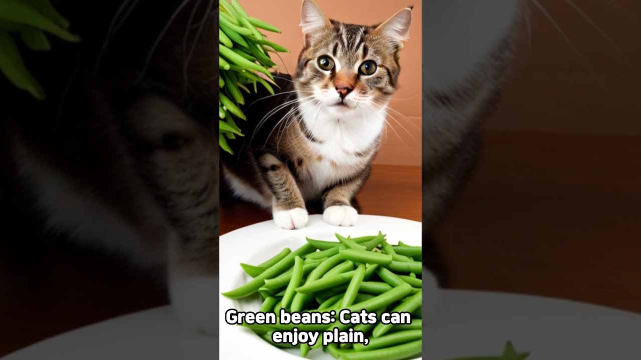 3 types of vegetables that are good for cats
