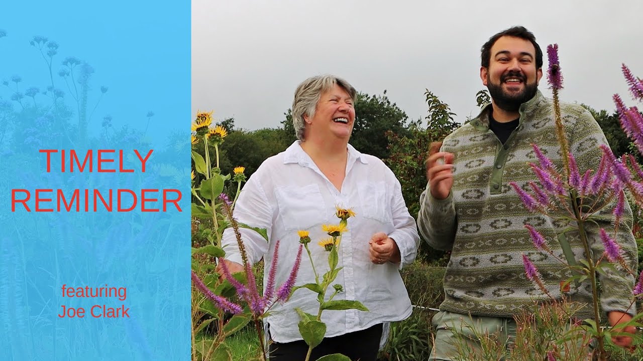 Letter to a Gardener in Winter | Gardening and mental health