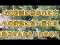 🐉実際に聴き続けた方々が健康に関する様々な数値が改善されています🐉是非体感してみて下さい!それが自分の使命の1つです🙏🌞🌝🏞️