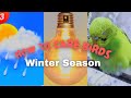 Sardi se kaise bacha kar rakhe bird ko  how to care bird in winter season  no antibiotic