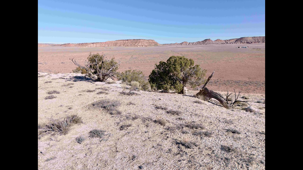 State Land Border | 37 Acres | Apache County, AZ | Affordable Land for Sale