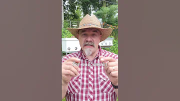 Learn To Keep Bees Naturally One Day Seminar September 20 2025 
