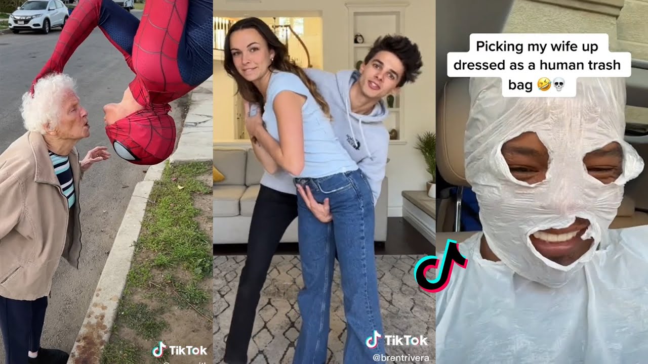 TikTok: the funny scene of a pet trying to play with its owners on a swing  that went viral - Infobae