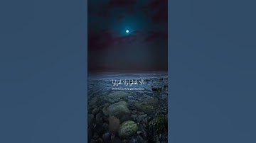 تلاوة هادئة الشيخ ناصر بن علي القطامي❤️🎧🤍