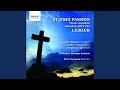 Miniature de la vidéo de la chanson St. John Passion, Bwv 245: Part 2. No. 19. Arioso. Betrachte, Meine Seel, Mit Ängstlichem Vergnügen