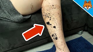 Smear COFFEE on your Legs and WATCH WHAT HAPPENS 💥 (Amazing) 🤯 screenshot 1