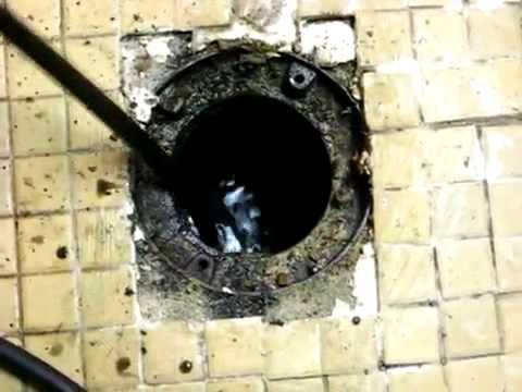 Oakdale Clogged Drain Floor Drain Cleaning Plumber To Unclog
