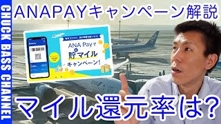 ANAPAYキャンペーン解説！ANAマイルの還元率はどのくらい!?