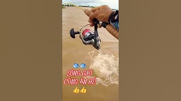 🐟Sóng gió quá trời cũng lụm hé mà con cá kỳ quá kkkk 🤪🤪#short#fishing #caucadanh 👍👍