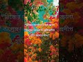 সব‌ই অভিনয়