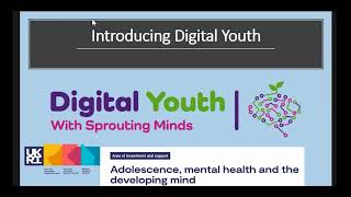 Digital Youth: managing risks and building resilience with young people in the digital world