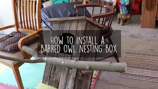 How to Install a Barred Owl Nesting Box