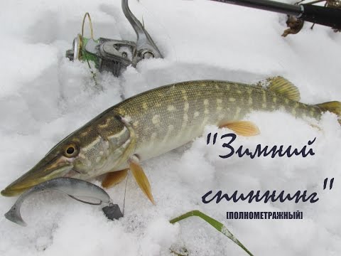 Ловля щуки на реке. Зимний спиннинг. Видео отчет от 5.12.2014 г.