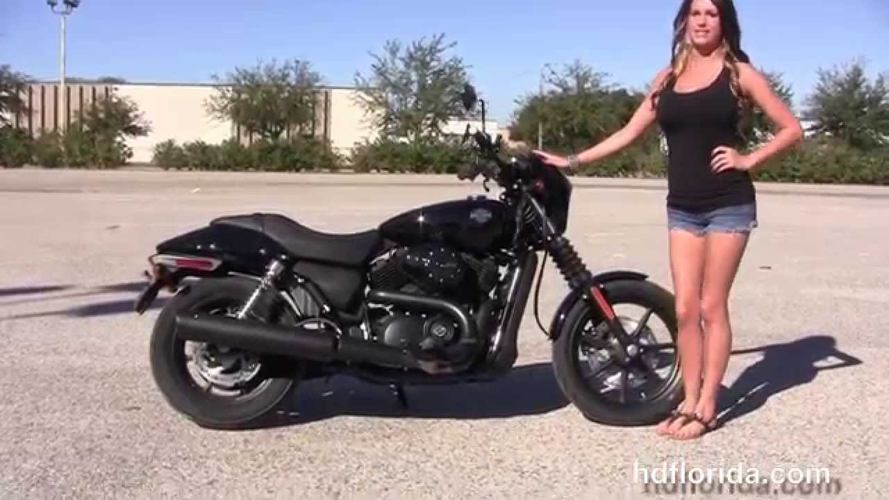 New 2019 Harley  Davidson  XG500  Street Motorcycles for sale 