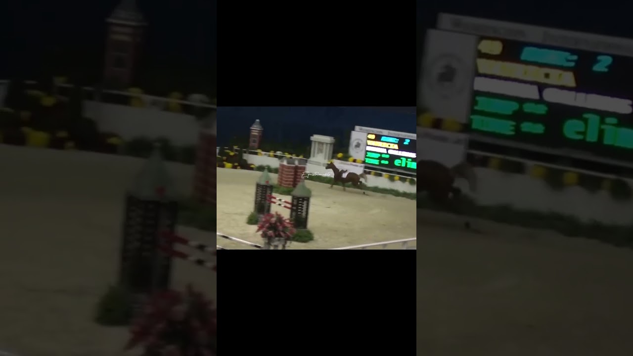 RIDER AND HORSE BOTH OKAY ❗️❗️ 