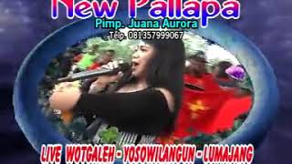 New pallapa  *ada rindu* voc 'Ikif Kawasima'