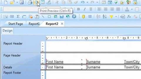 Crystal Reports Training Video - Previewing the Report