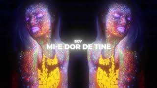 BOY - Mi-e Dor De Tine (Official Visualizer)